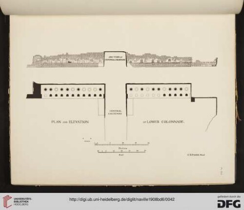 Plate CLI-CLXXIV