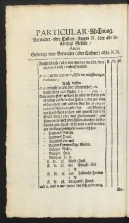 Particular-Rechnung.