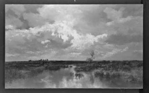 Moorlandschaft