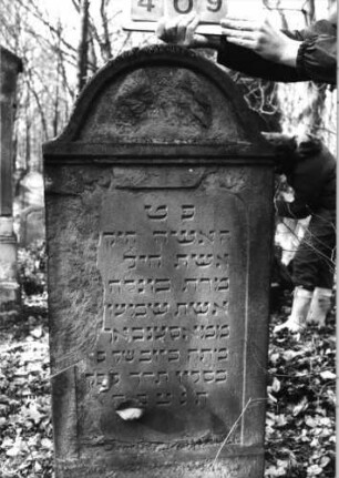 Grabstein 409 (Index: 99752670) Material: Sandstein Zustand: abgeblätt. /Textverl. /Ornamentik verwitt. Maße HxBxT: 132x60x13 cm Beschreibung: Stele, Abdeckplatte mit Rundbogenaufsatz, Schriftfeld eingetieft: Grabstein 409