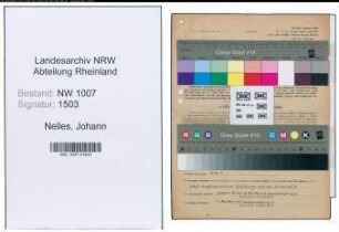 Entnazifizierung Johann Nelles , geb. 21.03.1893 (Kaufm.Angestellter)