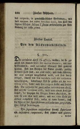 Fünftes Capitel. Von den Rückenwirbelbeinen. § 501-507.