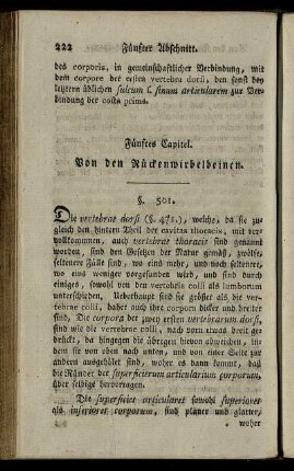 Fünftes Capitel. Von den Rückenwirbelbeinen. § 501-507.