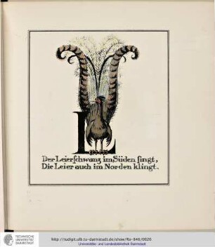 L - Der Leierschwanz im Süden singt, Die Leier auch im Norden klingt.