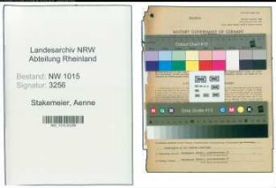 Entnazifizierung Aenne Stakemeier , geb. 15.03.1900 (Lehrerin)