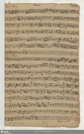 Violono