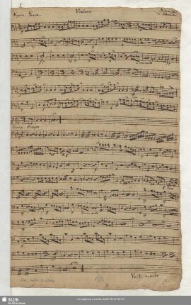 Violono