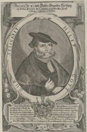 Bildnis des Barnim IX. von Pommern