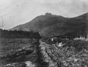 Hambacher Schloss : Das Hambacher Schloss auf dem Osthang des Haardt gelegen