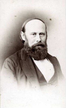 Neßler, Julius, Nationalliberale