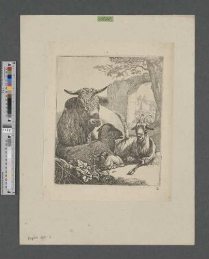 Ochse, Ziege und Schaf mit Jungem