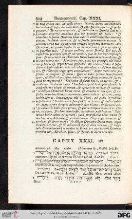 (Caput XXXI - XXXIV)