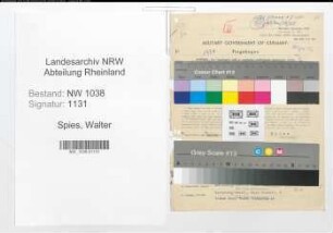 Entnazifizierung Walter Spies , geb. 03.06.1891 (Beamter)