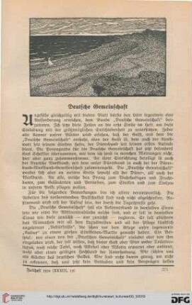Heft 19 (Juliheft 1920)