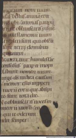 Psalterium - BSB Clm 29315(13