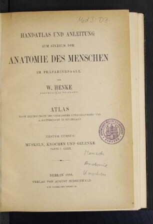 Cursus 1, Atlas: Muskeln, Knochen und Gelenke : Atlas ; Tafel I-LXXX