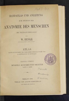 Cursus 1, Atlas: Muskeln, Knochen und Gelenke : Atlas ; Tafel I-LXXX