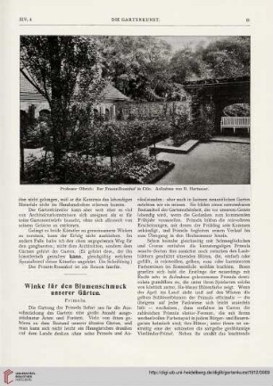 14: Winke für den Blumenschmuck unserer Gärten, [2] : Primeln
