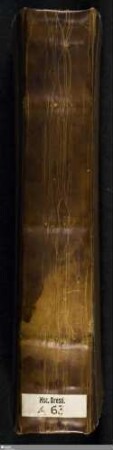 Quattuor evangelia Latine - Mscr.Dresd.A.63