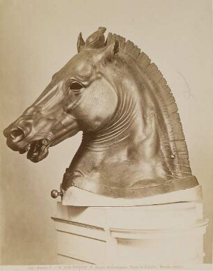 Pferdekopf, antike Bronze, Museo Archeologico, Florenz