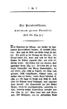 ¬Die¬ Paradieskörner : Amomun grana Paradisi ; (Taf. VIII, Fig. 30)