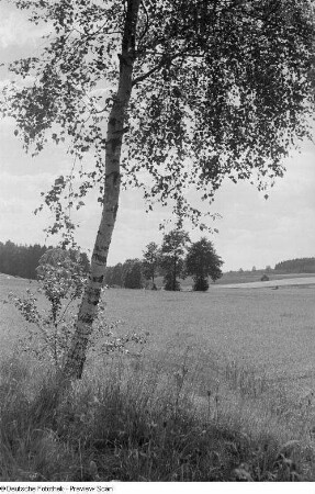 Landschaft