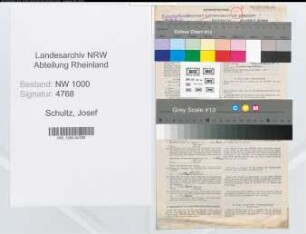 Entnazifizierung Josef Schultz, geb. 26.04.1889 (Zollinspektor)
