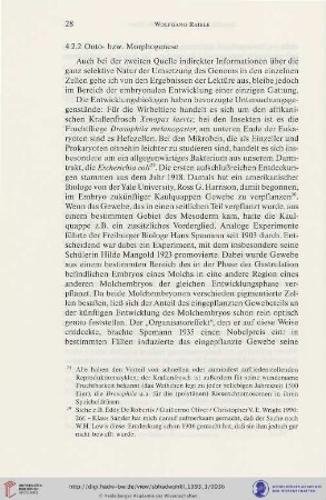 4.2.2 Onto- bzw. Morphogenese