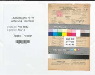 Entnazifizierung Theodor Taube , geb. 08.12.1898 (Bergmann)