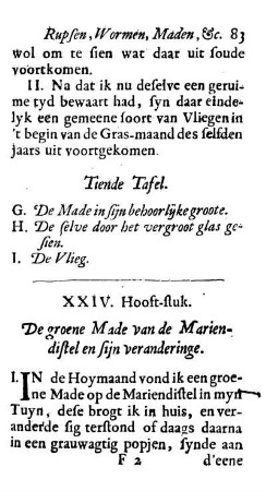 XXIV. Hooft-stuk. De groene Made van de Marien-distel en sijn veranderinge