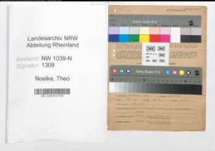 Entnazifizierung Theo Noelke , geb. 03.10.1907 (Angestellter)