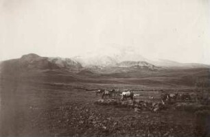 Der Chimborazo von Norden aus