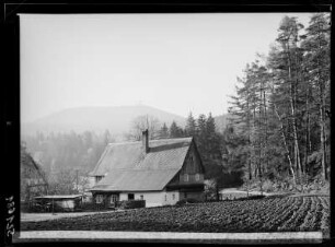 Oybin, Talringweg mit Hochwald