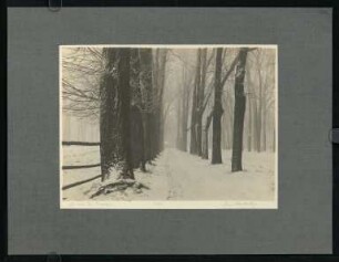486, Ein Wintertag. (Nr. 3085).