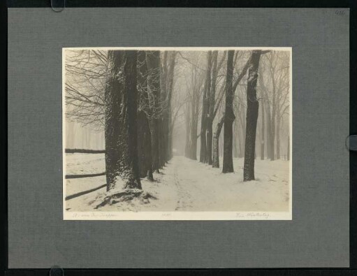 486, Ein Wintertag. (Nr. 3085).