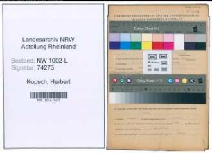 Entnazifizierung Herbert Kopsch , geb. 12.06.1905 (Angestellter)