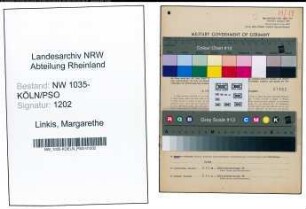 Entnazifizierung Margarethe Linkis , geb. 01.04.1900 (Stenotypistin)