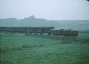 Goppertshofen Rottumtal Lok 251 903 Güterzug Rollbockbetrieb Bahnübergang