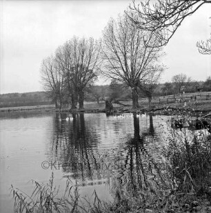 Drahtteich: vorn Sträucher und Schilf: rechts Ruderboote im Wasser: hinten Mitte Bäume: hinten Wald