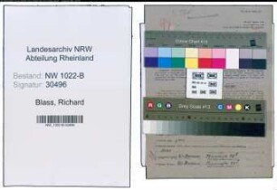 Entnazifizierung Richard Blass , geb. 21.07.1895 (Ingenieur)