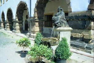 Detail des Schlosshofes mit Arkaden, Laufbrunnen mit Wasserspeier