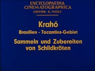 Krahó (Brasilien, Tocantins-Gebiet) - Sammeln und Zubereiten von Schildkröten
