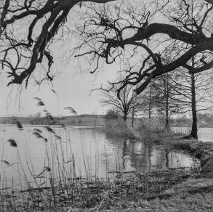 Niedergurig (Teiche) : Niedergurig. Blick über einen Fischteich