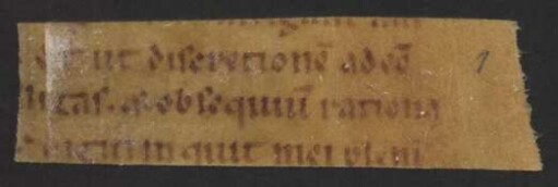 Gilbertus de Hoilandia : Hdschr. 87,9