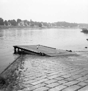 Dresden-Pillnitz. Elbufer. Anlegestelle der Gierseilfähre "Pillnitz". Blick gegen Kleinzschachwitz