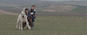 Sivas