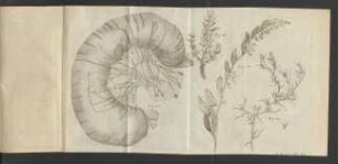 Fig. 77. - Fig. 80.