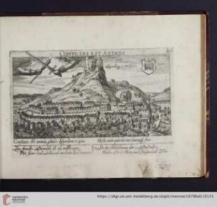 B61. Segenberg in Holstein, "Conficere est animus"