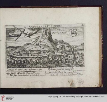 B61. Segenberg in Holstein, "Conficere est animus"