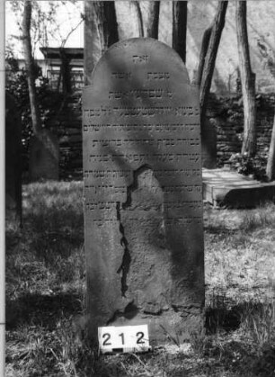 Grabstein 212 (Index: 99629713) Material: Sandstein Zustand: abgeblättert/Textverlust Maße HxBxT: 143x57x6 cm Beschreibung: Stele mit eingezogenem Rundbogenabschluß: Grabstein 212